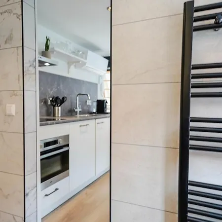 Beautiful With Loft Delft