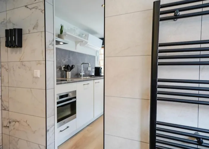 Beautiful With Loft Делфт