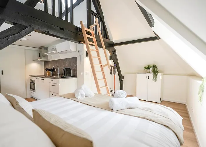 Beautiful With Loft Apartamento Delft